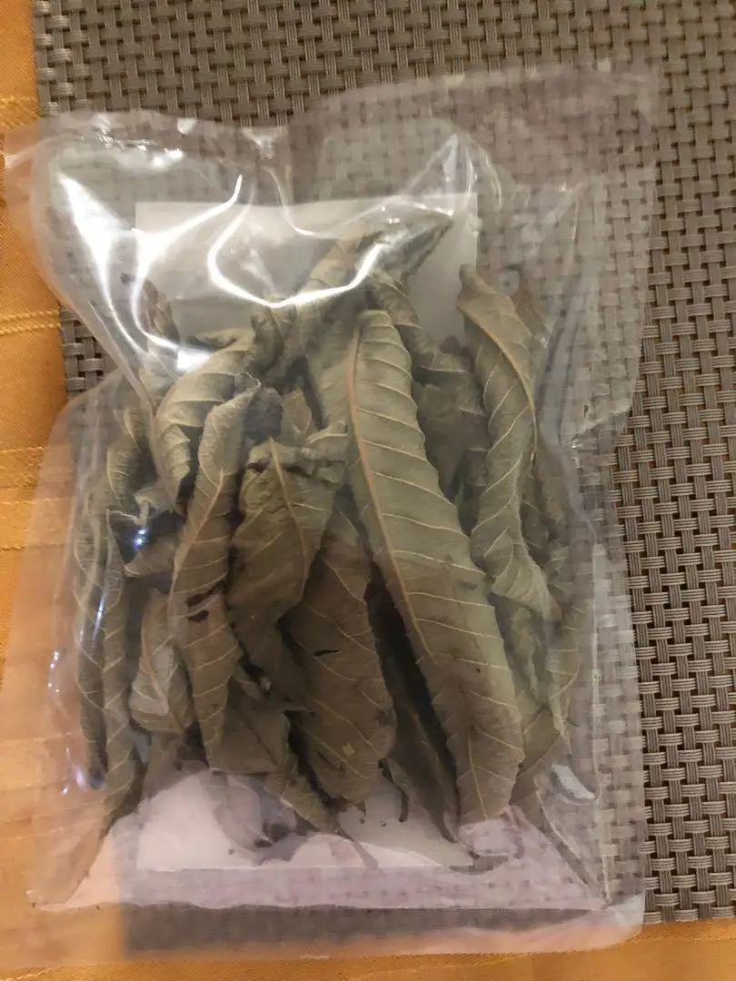 Dried Guava Leaf High Quality/Natural Green Dried Guava Leaves/Guava Leaf powder for Sale from Vietnam