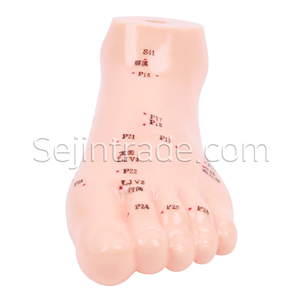 Акупунктурная игла для больниц анатомическая модель человека резиновая стопы медицинская продажи массажная клиника мокса китайская 15 см