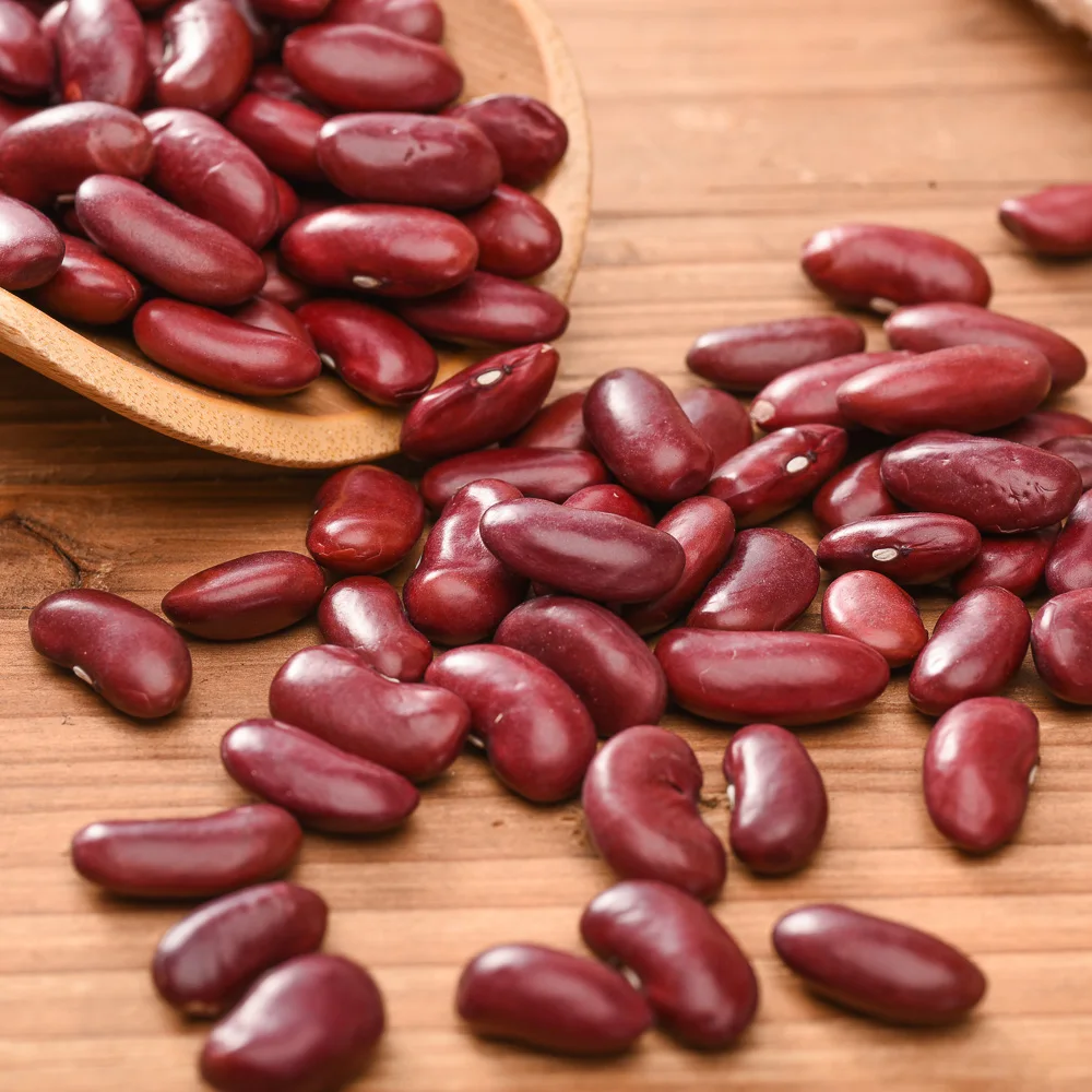 Хит продаж сельскохозяйственная продукция китайская фасоль
