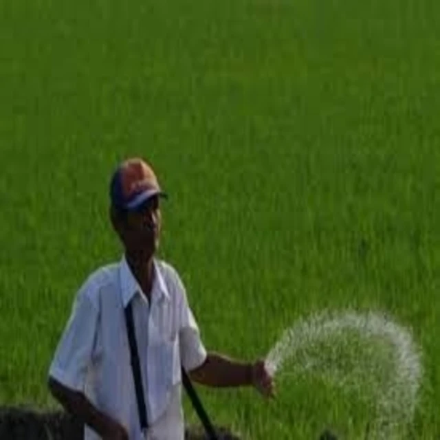 100% Terra Neem Oil extracted from neem kernel by cold pressed method used on plants and farms as insecticide in Retail Bottles