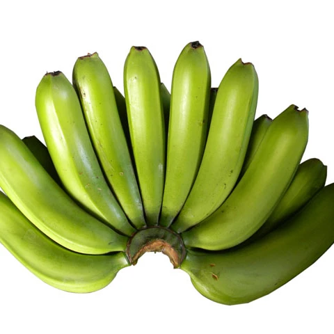 CAVENDISH BANANA THE BEST QUALITY COMPETITIVE PRICE SUPPLY TO ALL COUNTRIES IN THE WORLD FROM VIETNAM
