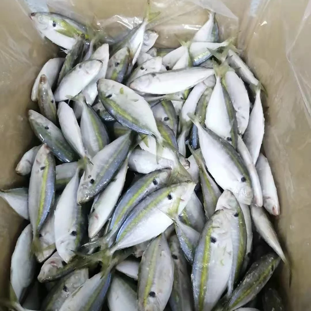 Frozen Yellow stripe Scad  - Selaroides leptolepis  From Viet Nam fresh fish , affordable price, hight quality