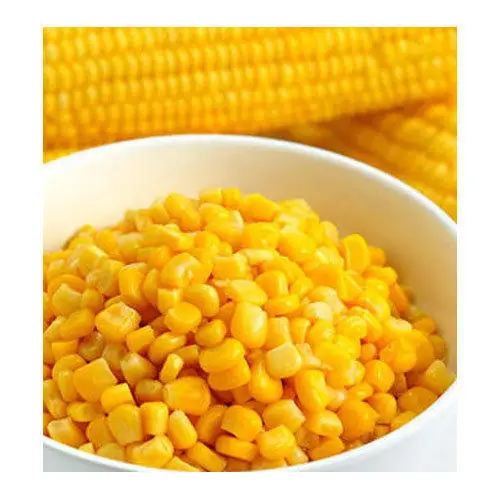 
Yellow Corn Whole Frozen Corn Cob Sweet Yellow Corn 