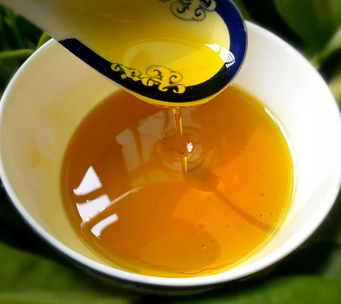 Canola Oil/ Cheap Canola Oil/ Buy Canola Oil