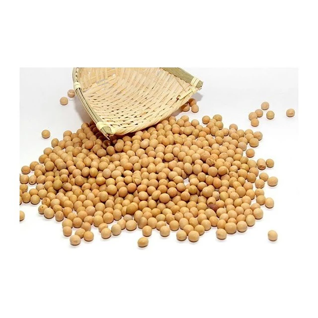 yellow soybean  3.jpg