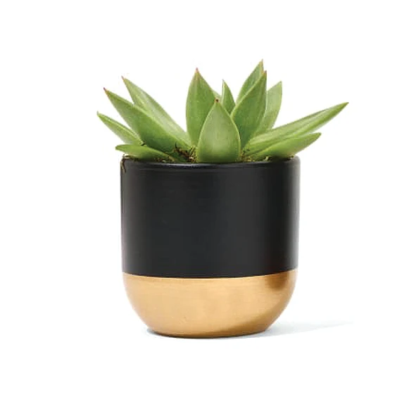 Flower Pots Planters/ Concrete Pots Promotional High Quality Planter / Home & Garden Decoration [Wholesale]