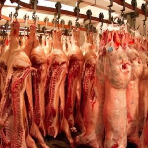 Premium Grade Halal Frozen WHOLE BEEF CARCASS and CUTS