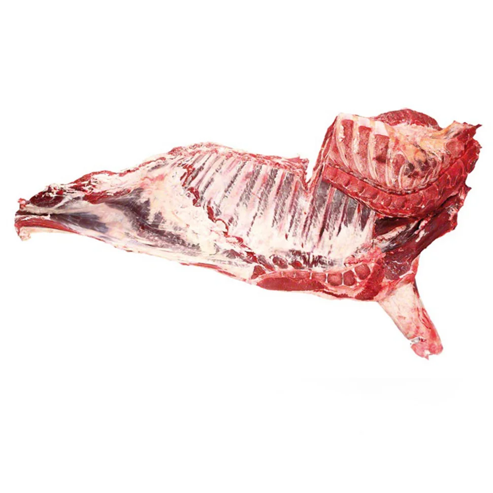 Frozen Prime Grade Forequarter Beef Meat