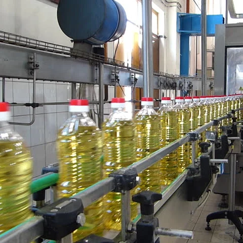 RBD Palm Olein / Vegetable Cooking Oil