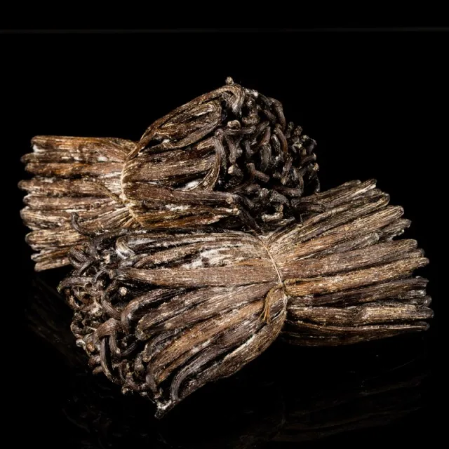 Высококачественные Ванильные бобы мадагаскарского класса А 14-18 см по хорошей цене