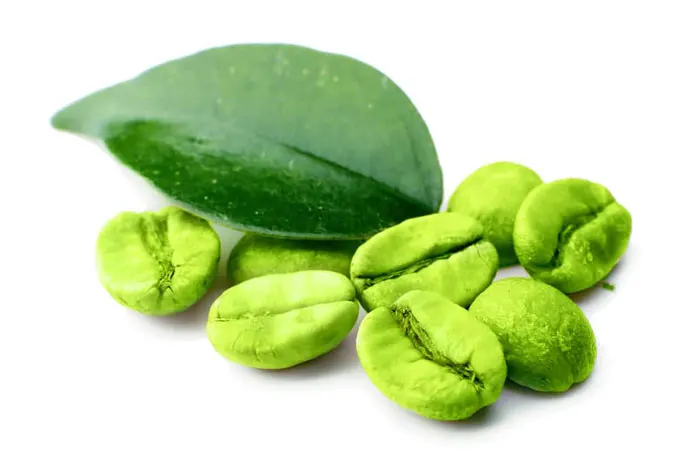 Weight loss green coffee been/ green coffee beans wholesale - Whatsapp: +84-845-639-639