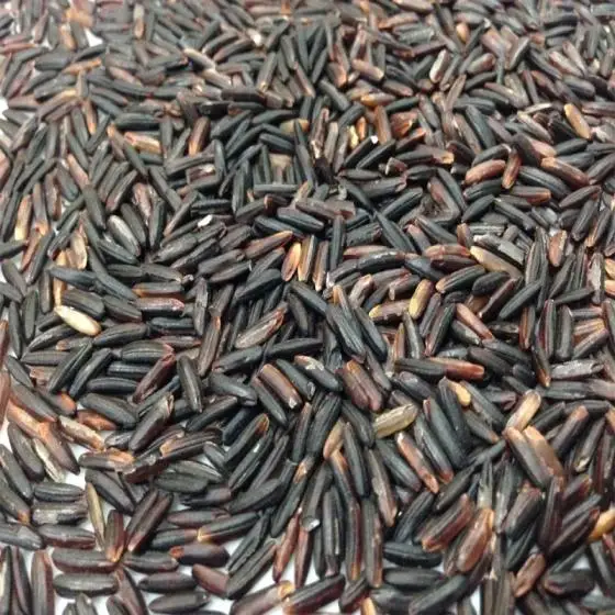 
High Quality 100% Natural Riceberry Rice 