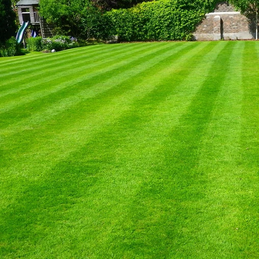 Special production grass carpet, field grass carpet, mass production best quality special sizes top quality grass carpet