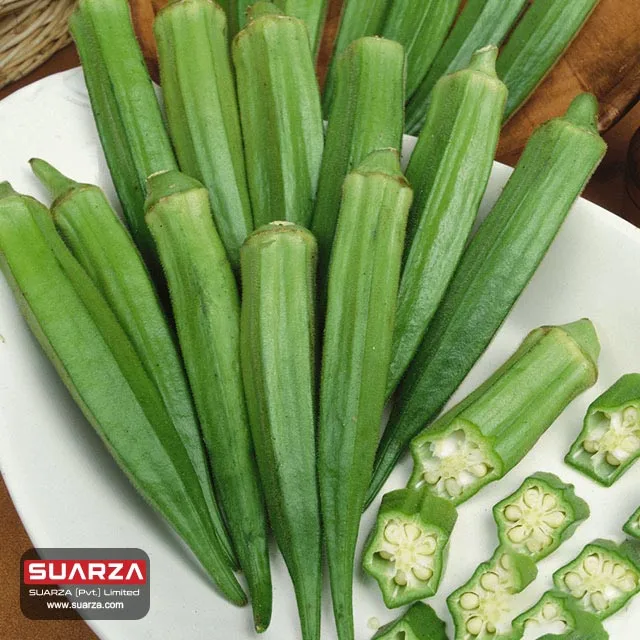 Хорошее качество оптовые поставки свежих овощей зеленый Окра для продажи по доступной цене от Пакистана/пакистанского поставщика Okra