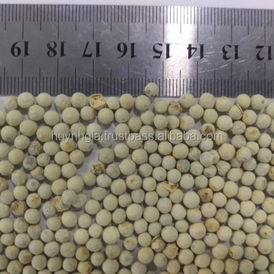 High Quality Good Price Spices And Ingredients Vacuum Packed Vietnam White Pepper Whole For Cooking And Culinary