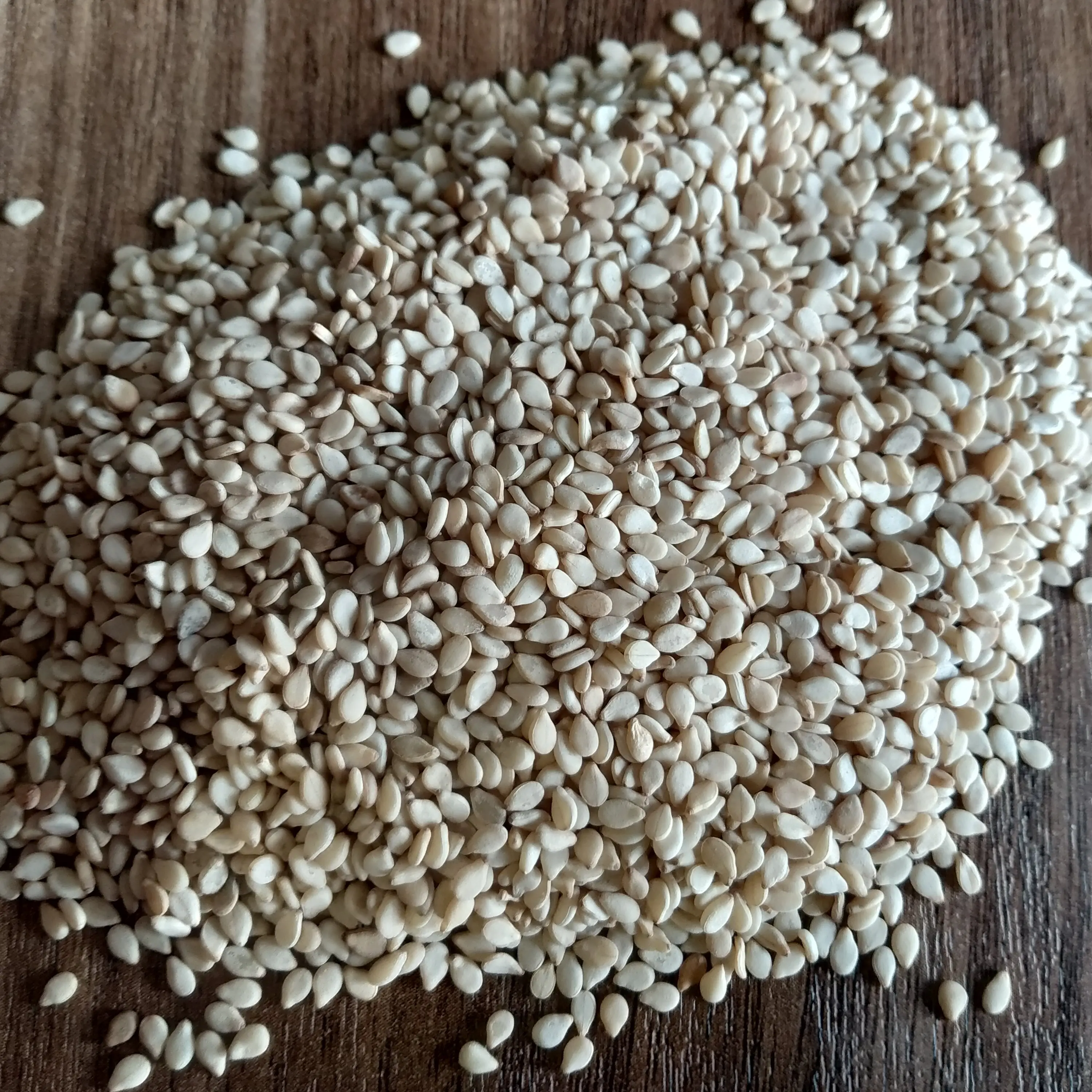 New Crop Natural White Sesame Seeds 99.95% With Packing of PP New Bag At Low Rate Export From India