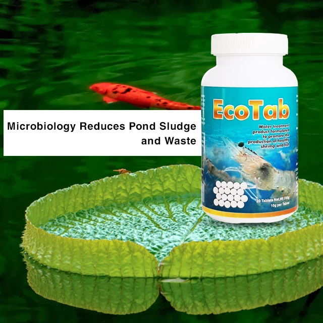 
EcoTab - 10 Tablets - 10 Gram Per Tab - Microbiology Reduces Pond Sludge and Waste 