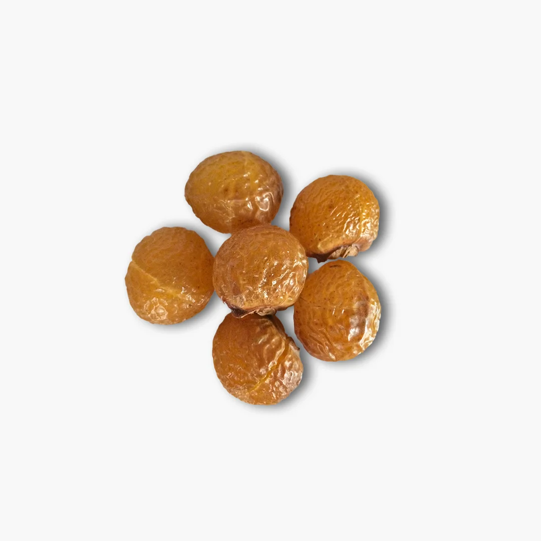 High quality Soap Nuts, Premium quality Soap Nuts