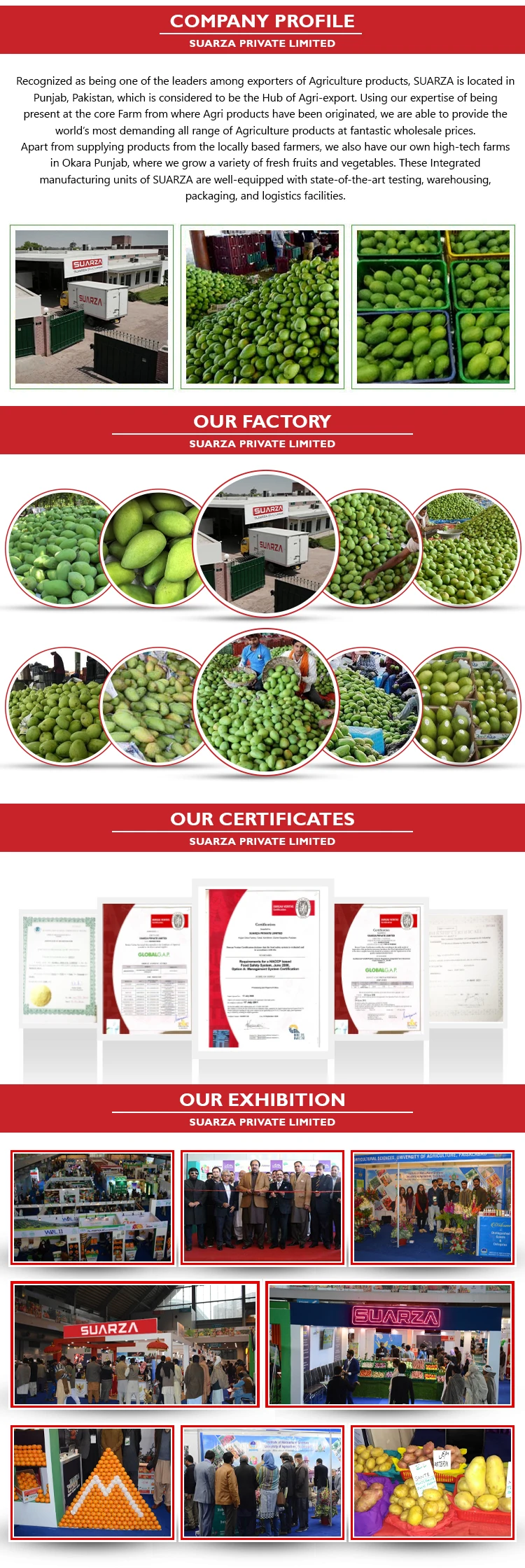 PROFILE PAGE Mango (1).jpg