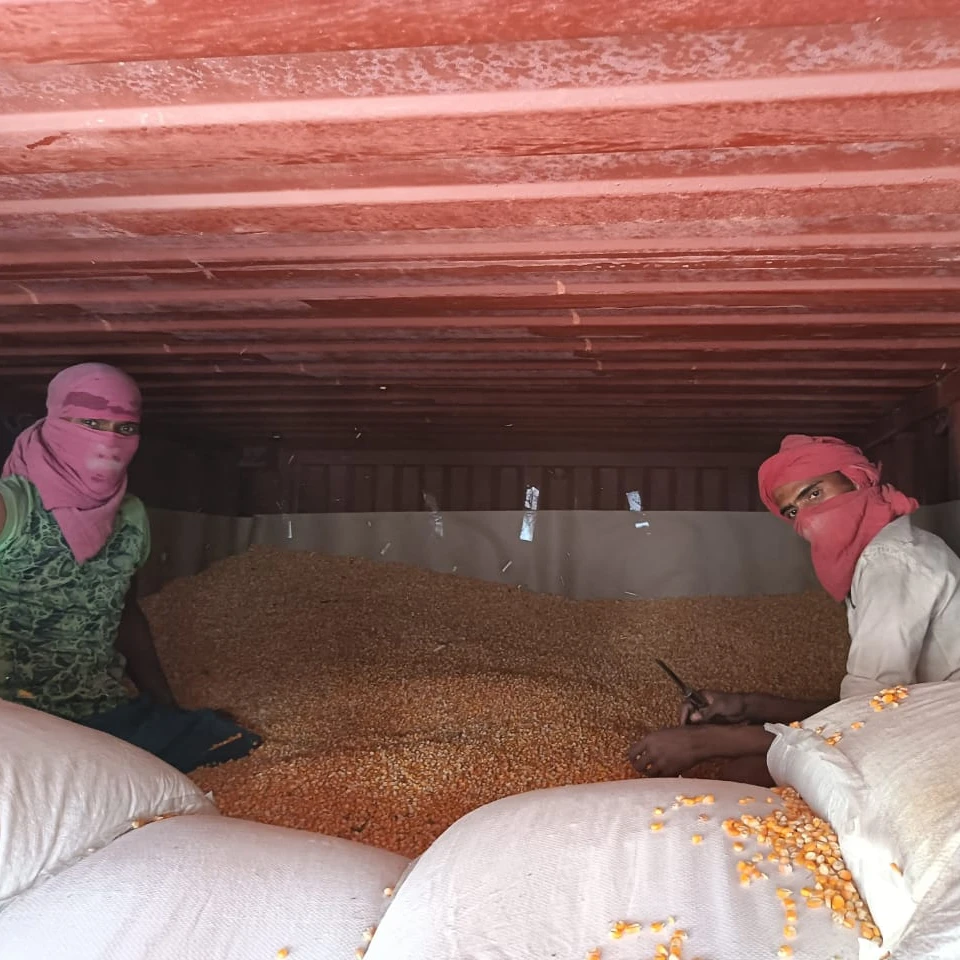 Yellow Corn/Maize Best Price 2021 Wholesale Fit for Human Consumption and Animal Feed, yellow maize