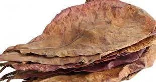 Catappa оставляет вьетнамские листья миндаля Бета рыба креветки природная среда обитания аквариум для рыб снижение PH убивает бактерии