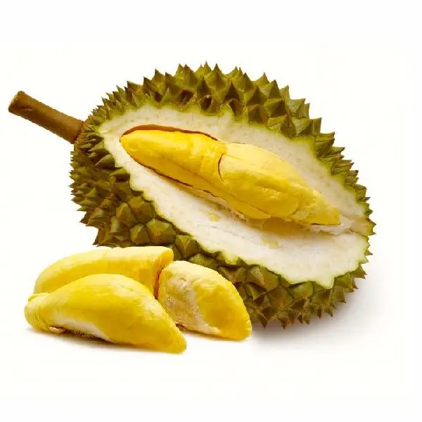 Premium Fresh Monthong Thai Durian Fresh Fruit With High Quality And Best  Price