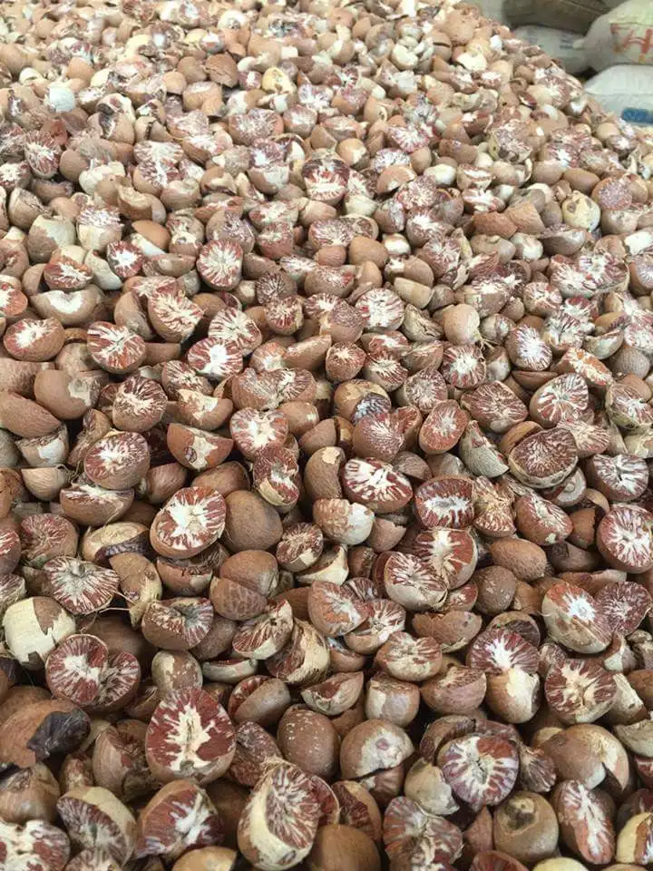 
Supplying Dried whole Areca nut/ Betel nut from Vietnam with high quality_vikafoods (WhatsApp/Wechat: + 84 983 028 718) 