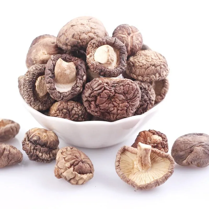 Top Level Lentinus edodes Dried Shiitake Flower Mushroom Price