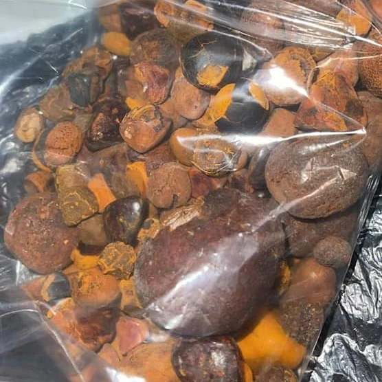 100% REAL QUALITY COW GALLSTONES