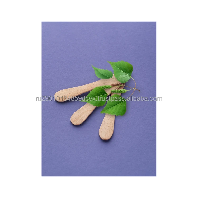 Ice cream stick guarantee of long-term storage without loss of quality wholesale low price, ice cream stick