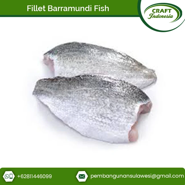Wholesale Supply Great Taste Seafood Barramundi Fish Frozen Fillet