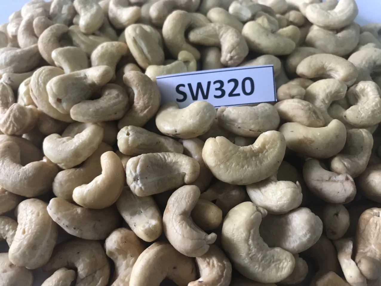 Best PRICE !!! Quality Cashew Nuts Cashew W180- W240- W320- W450 - WS - LP Cashew without Shell
