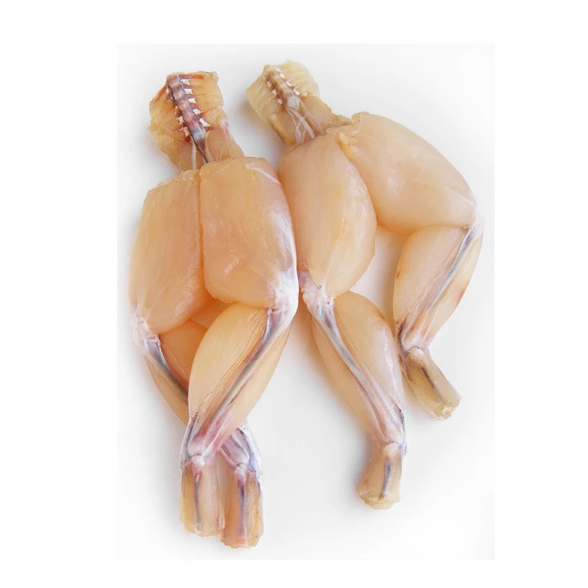 High Quality Skinless Frozen Frog Offered