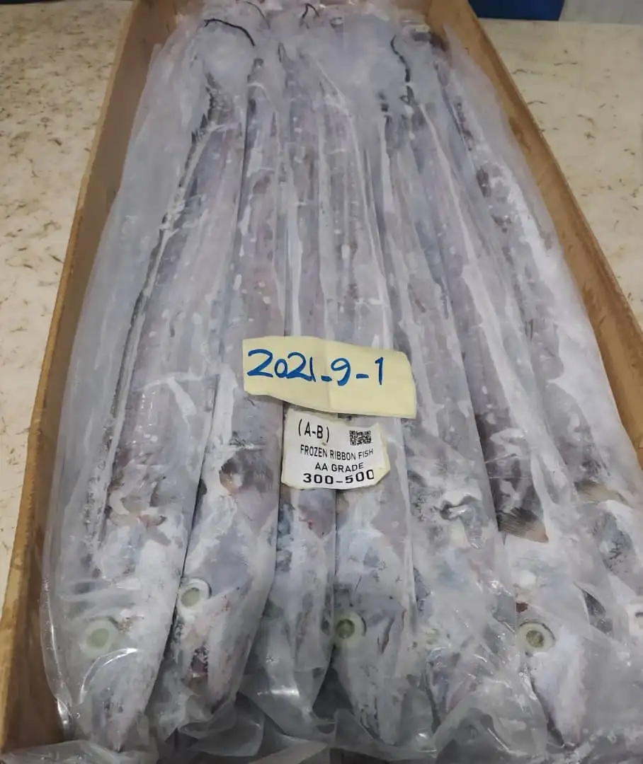 Ribbon fish / Frozen Ribbon fish / Fresh Ribbon fish