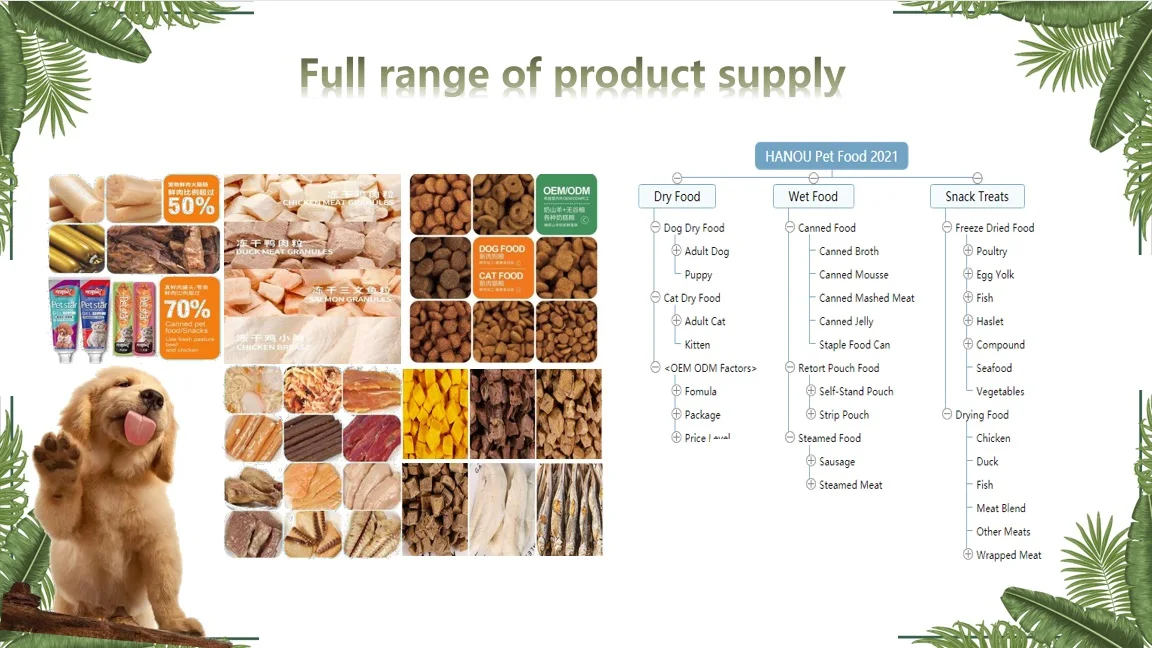 Hot Sale Grain Free Improve Immunity Customized Package Cat Dry Food with Freeze Dried Meat