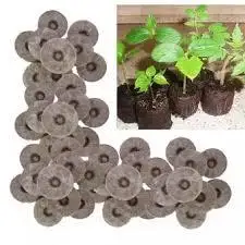 Кокосовый кокосовый пеллет для зеленого дерева/кокосовый пеллет/янтарный