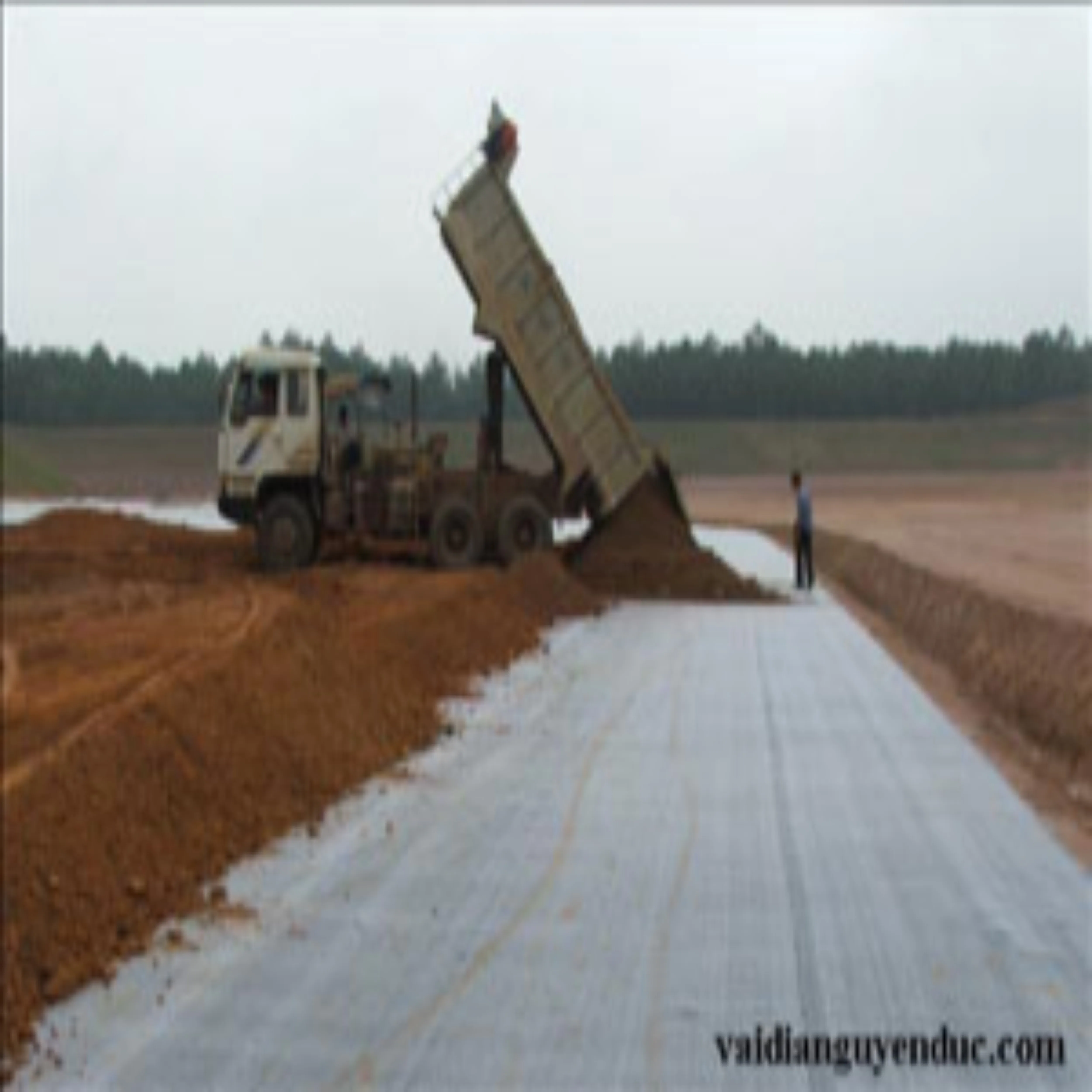 Direct Sale Geotextile 100 PP Non Woven Nonwoven Fabric Viet Nam Soft Bag Chinese Style Time Film Furniture Color Feeling Design