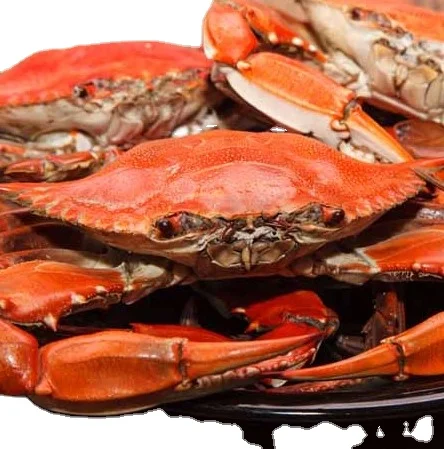 Freshly Caught Frozen Alaskan King Crab Legs | Boiled King Crab Legs available