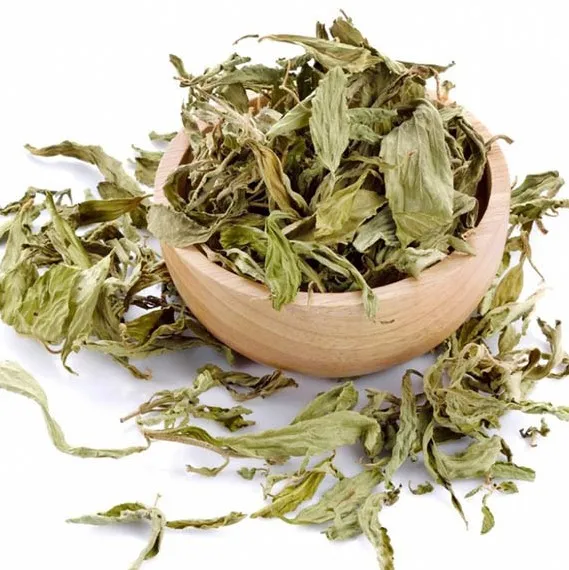 DRIED STEVIA REBAUDIANA - DRIED HERB FROM VIETNAM/ LOUIS T +84943481858