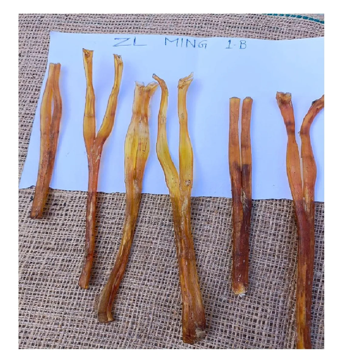 High Nutrition High Protein Dried  Tendon