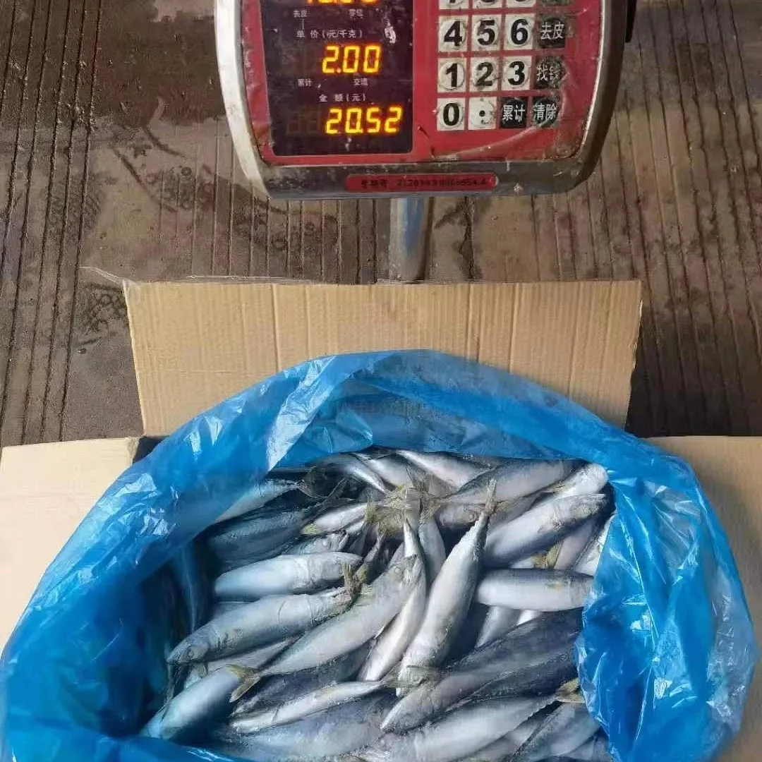 Замороженная рыба продажа высокое качество оптовая