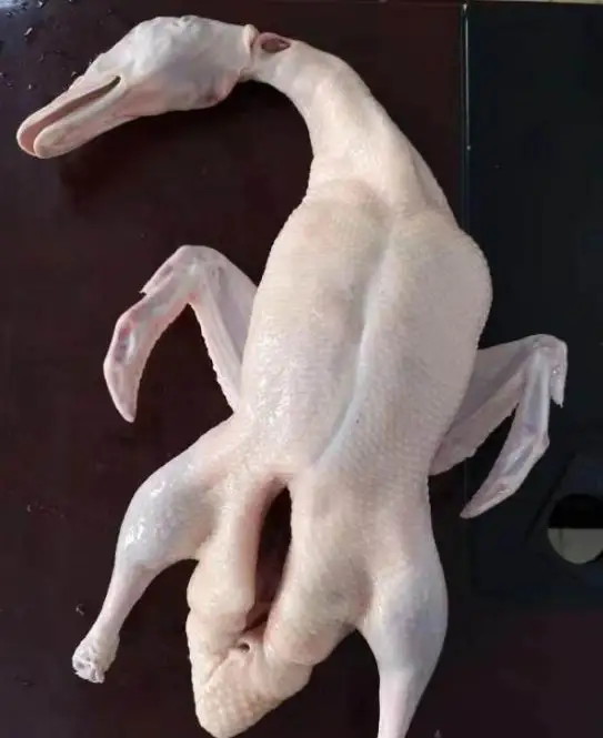 Whole Duck, Duck Feet And Gizzards