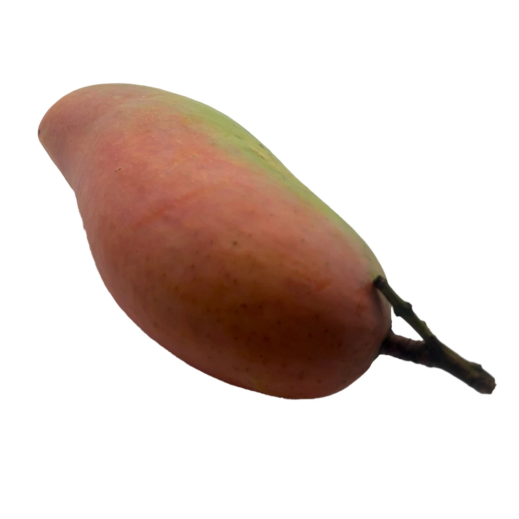 Competitive Price High Quality Imported Grade Fresh Mangos Fruit Box Packing Top Selecting from Thailand Mahachanok Mangoes