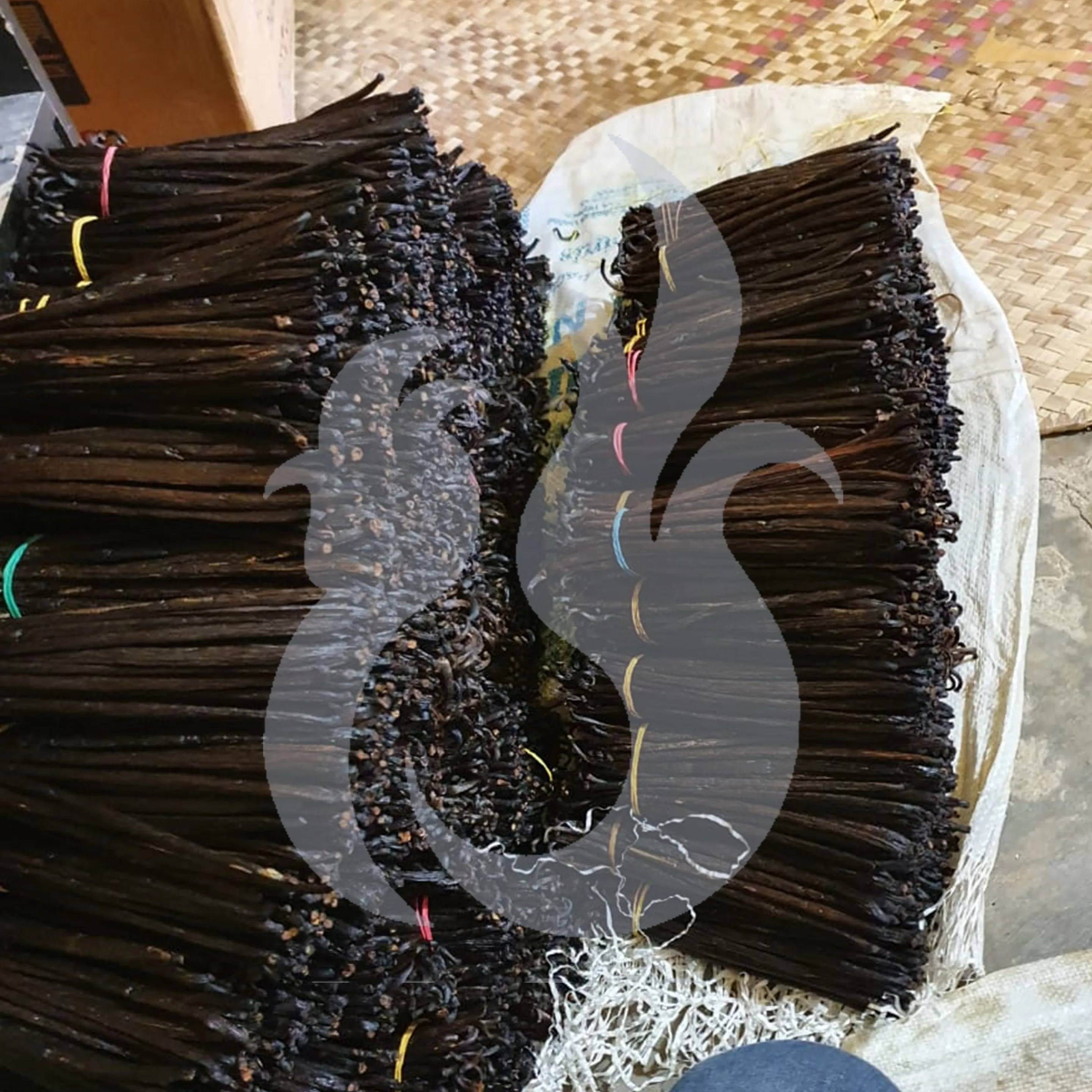 Best Dried Planifolia Vanilla Beans Indonesia Spices High Demand