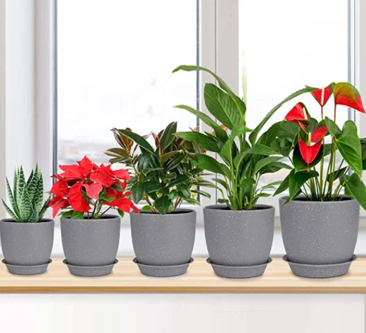 Custom Sizes And Logo Plastic Plant Pot With Drainage Hole Tray Decorative Planters For Flowers Succulents Cactus Plants