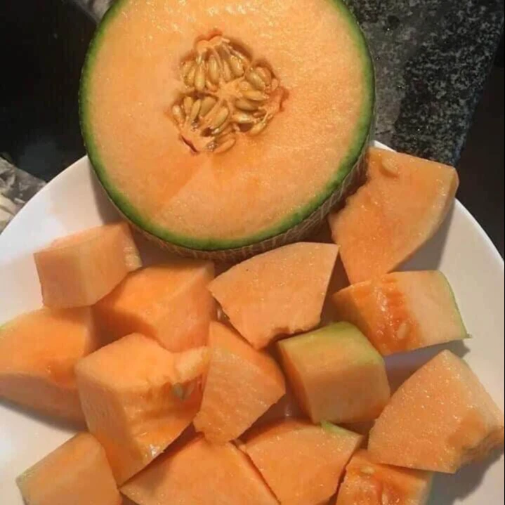 Exported Fresh Cataloupe Fruits From Vietnam Premium King Melon Taken Care By Japanese Standard Procedure