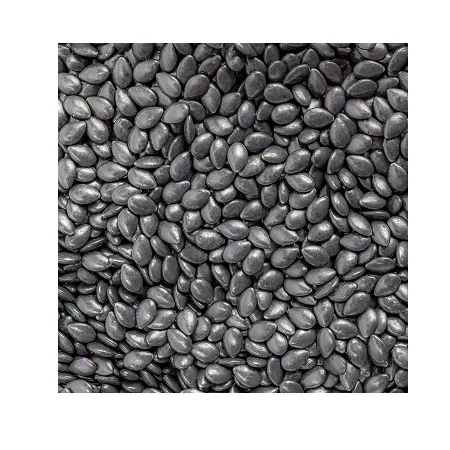 
Watermelon seeds Available 