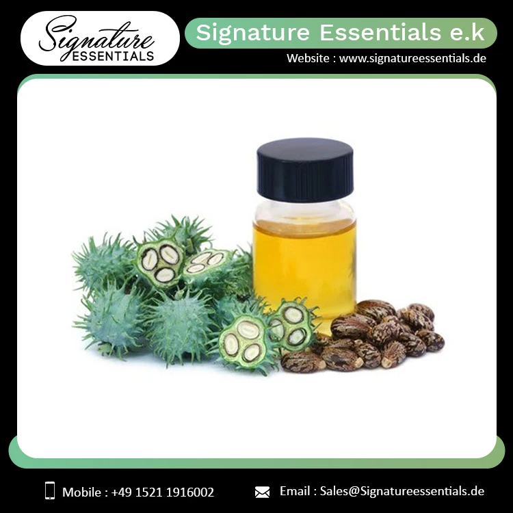 Top Quality Bulk Sale Castor Carrier Oil Cold Fresh Organic Oil for Hair Growth