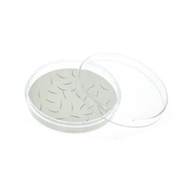 Loose Individual Premade Volume Fans Eyelash extensions item for sale Lash Stand plastic case with silicone Magic Pad from Korea