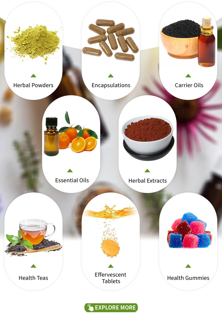 Pure 100% Natural & Organic Tribulus Terrestris Extract Herbal Powder for Wholesale from Best Indian Manufacturer